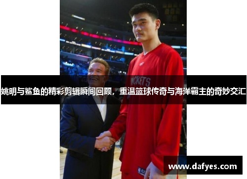 姚明与鲨鱼的精彩剪辑瞬间回顾，重温篮球传奇与海洋霸主的奇妙交汇