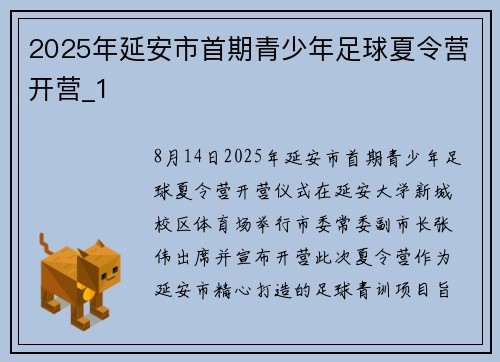 2025年延安市首期青少年足球夏令营开营_1